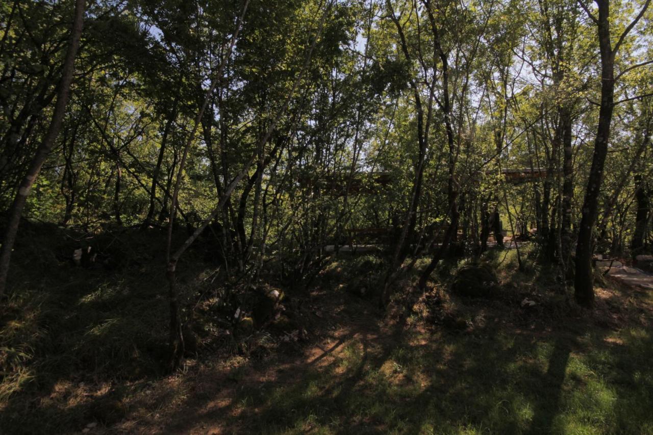 Vukova Dolina Apartments Cetinje Eksteriør bilde